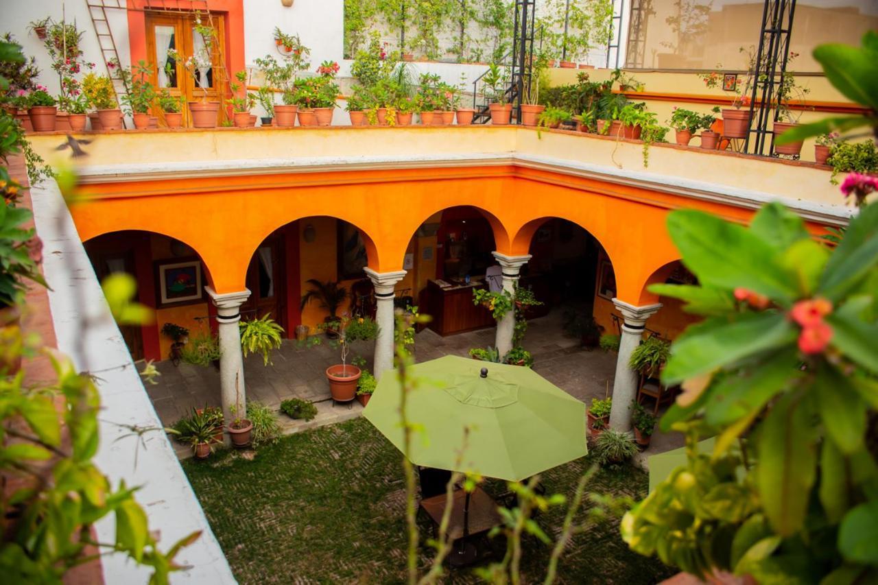 Los Arrayanes Oaxaca Exterior foto